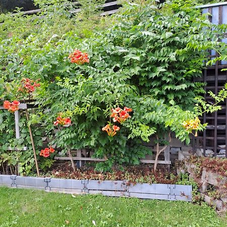 Ferienwohnung Brenner Bruck an der Mur Exterior photo